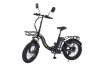 Электровелосипед Jetson V20 BAGIRA 750W 48V13Ah черный