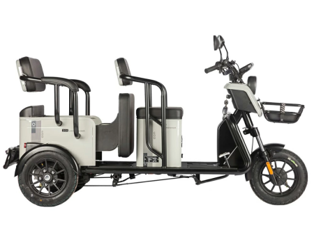 Электротрицикл Wanshida LC300 60V 1000Вт серый