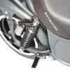 Электроскутер CityCoCo SkyBoard Chopper 3000 PRO зеленый