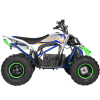 Электроквадроцикл MOTAX E-Pentora 1500W