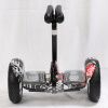 Мини-сигвей MiniRobot Mini Пират