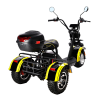 Электротрицикл SIBERTON PRO TRIKE 3000W